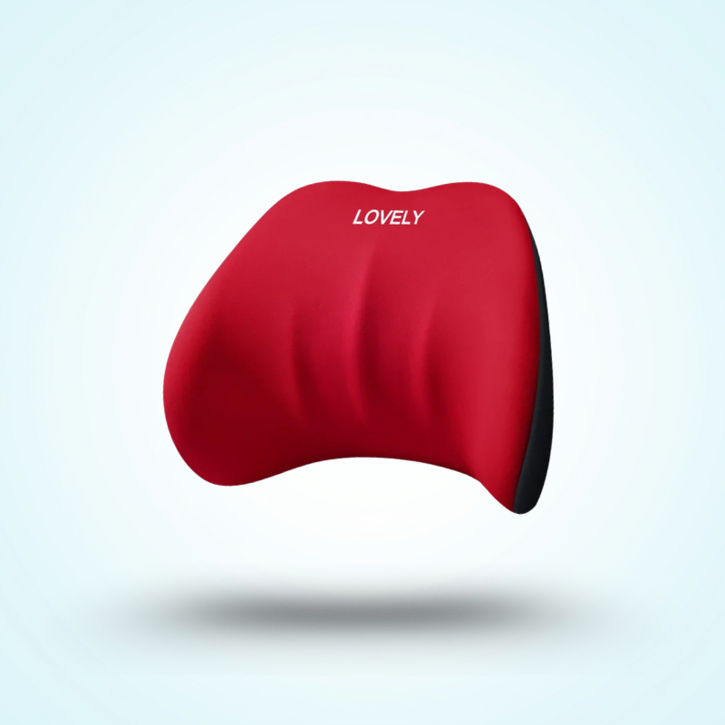 Coussin Lombaire Voiture