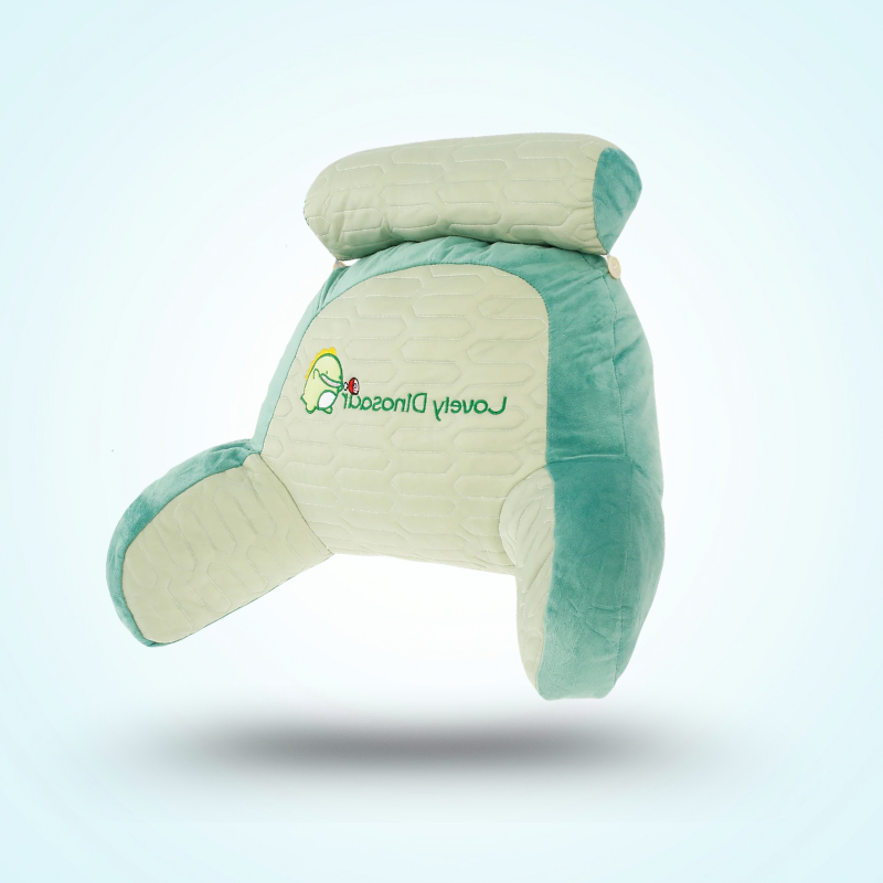 Coussin de Lecture au Lit