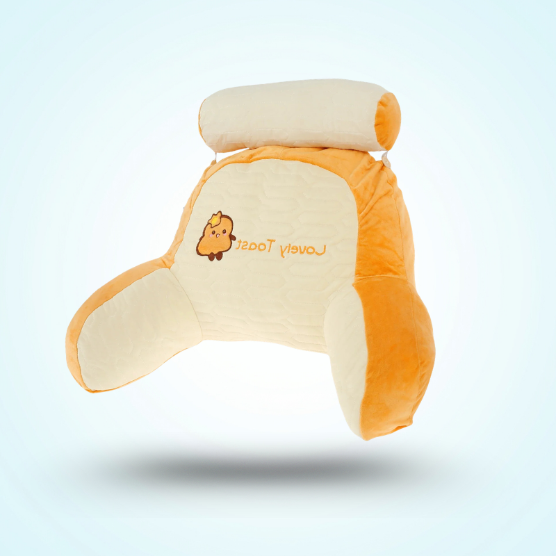 Coussin de Lecture au Lit