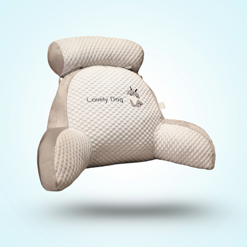 Coussin de Lecture Canapé