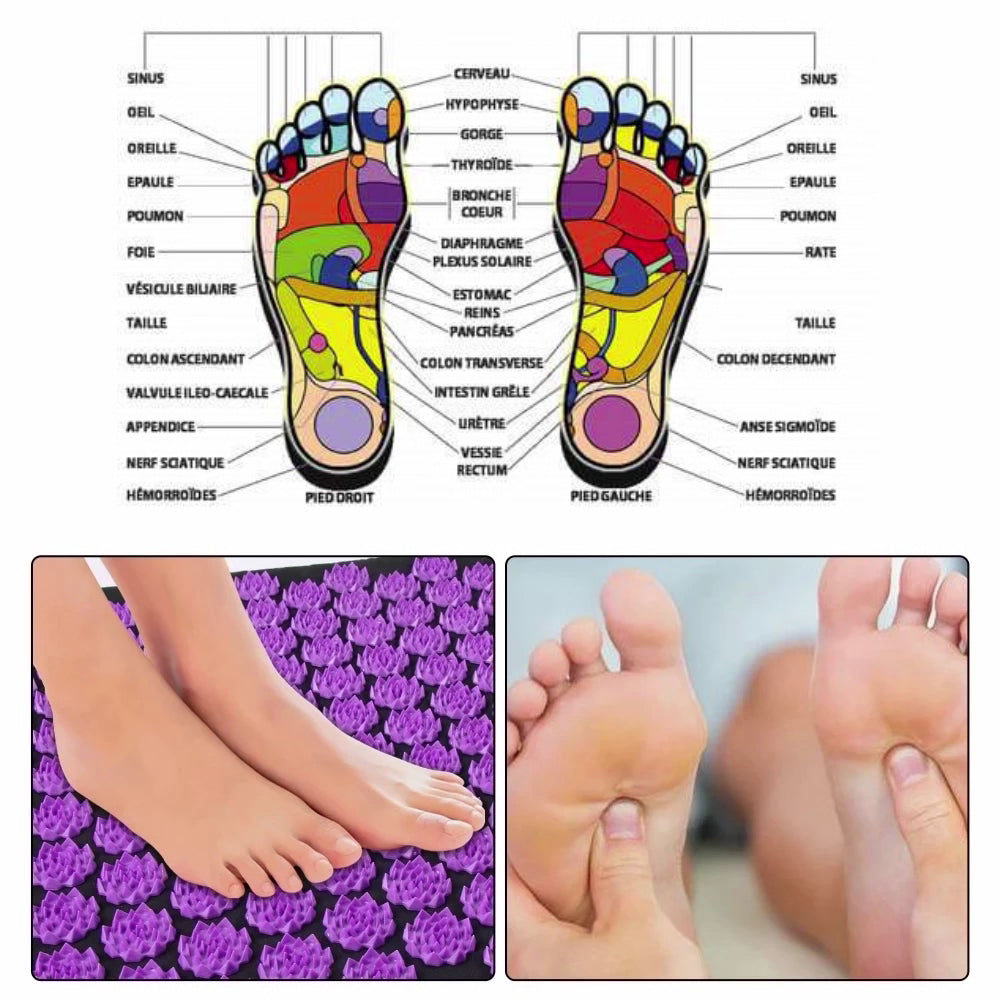 Kit d'Acupression Tapis Coussin de Massage