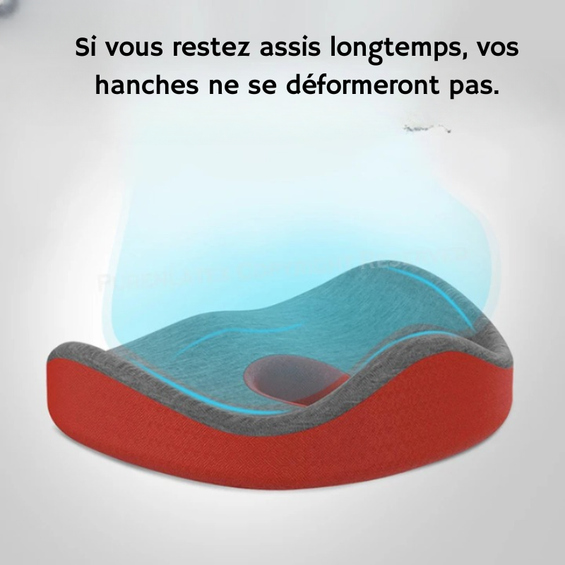 Coussin Douleur Coccyx