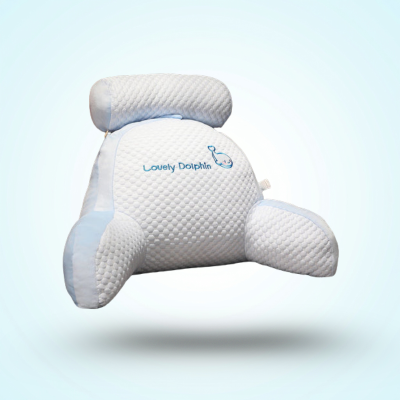 Coussin de Lecture Canapé