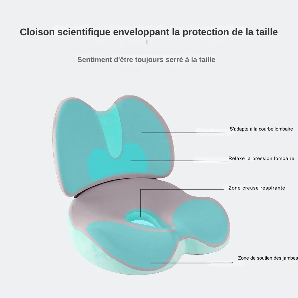 Coussin pour Fessier Douloureux