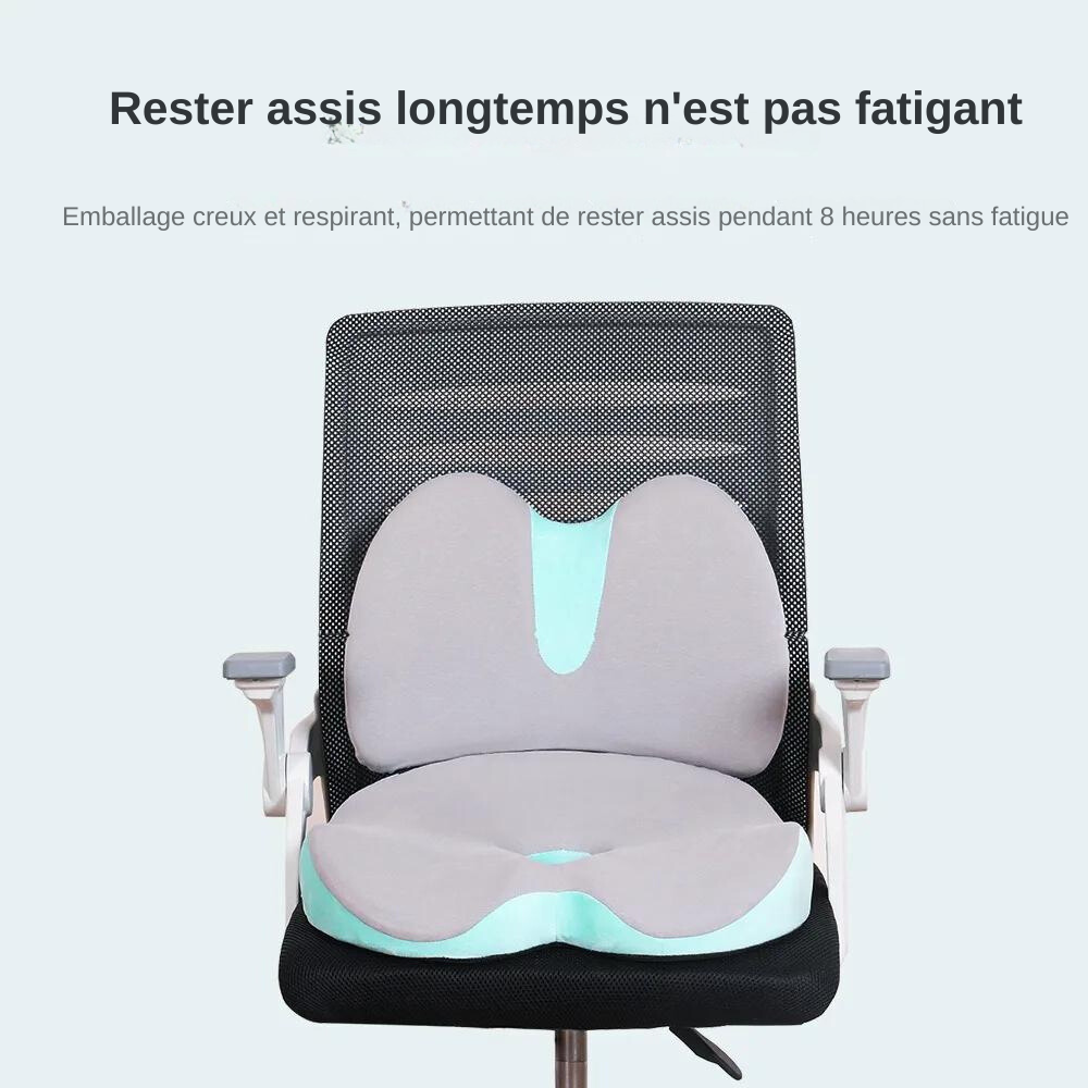 Coussin pour Fessier Douloureux