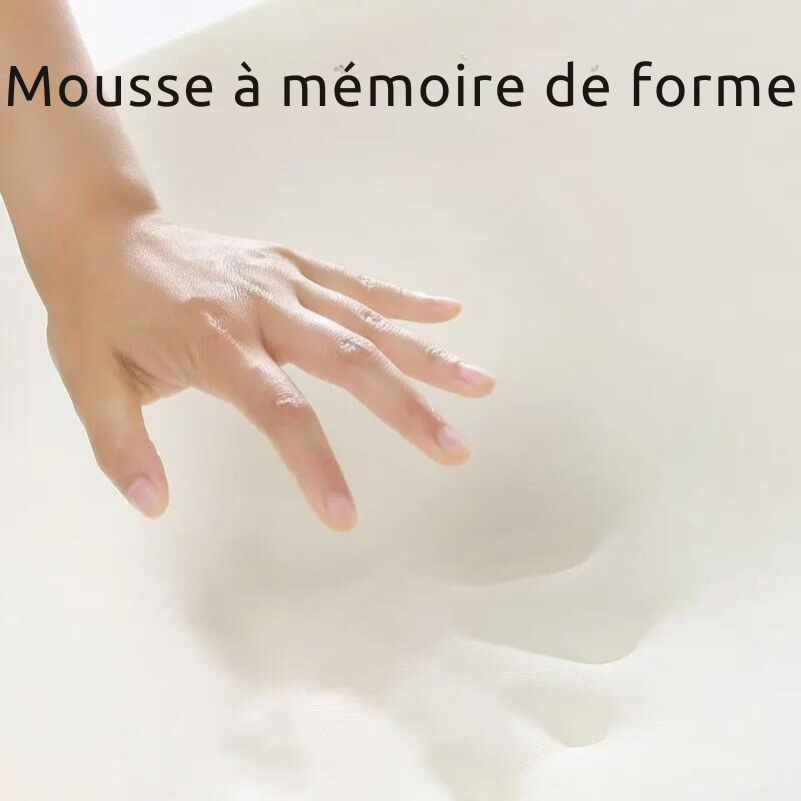 Coussin de Soutien Lombaire