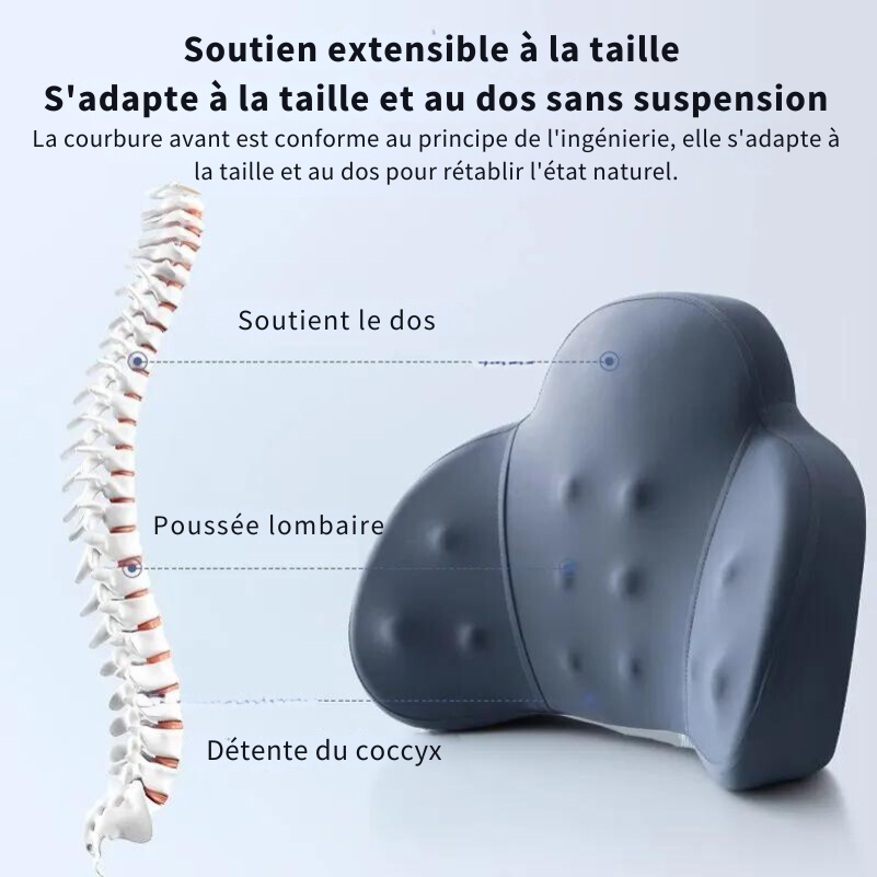 Coussin Lombaire Chaise