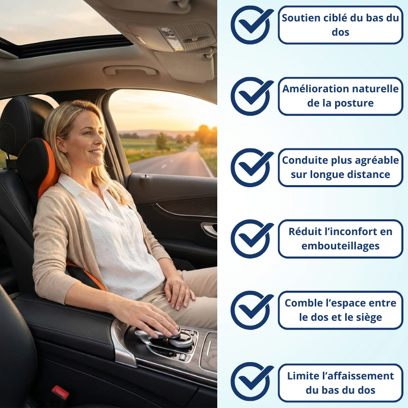 Coussin Lombaire pour Voiture